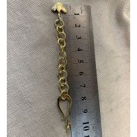 Chain with a hook