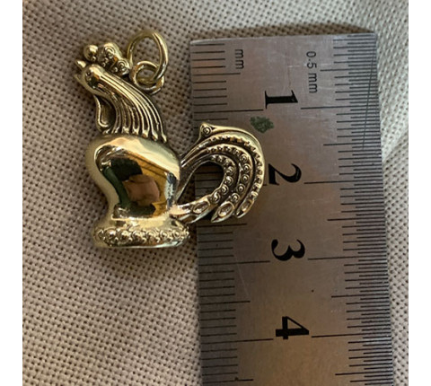 Pendant Rooster "Unbreakable" handmade from brass