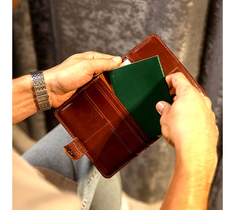 Leather organizer for passport and documents in brown color