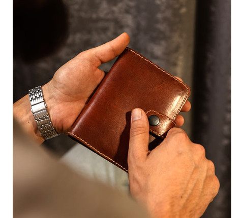 Leather organizer for passport and documents in brown color