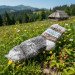 Woolen socks of Hutsul handmade for adults