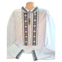 Men's embroidered shirt "Patriotic"