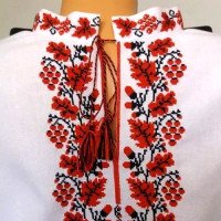Men's embroidered shirt "Kalynova Pysnia"