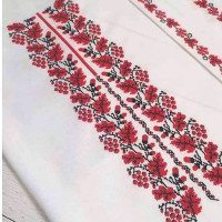 Men's embroidered shirt "Kalynova Pysnia"