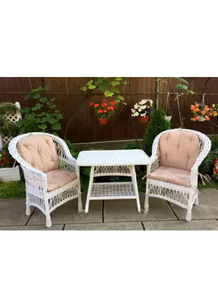 2 "Regular" chairs with beige cushions and a Kitchen table