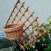 Wall-mounted wicker stand "Net"