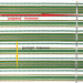 Ethno-fabric with green ornament for decor Roksolana TDK-108 11/9, per meter.