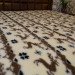 Ковдра з овечої шерсті Оленя