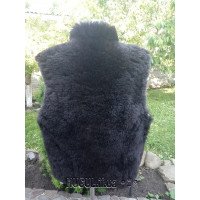 Кептар «Кучері»